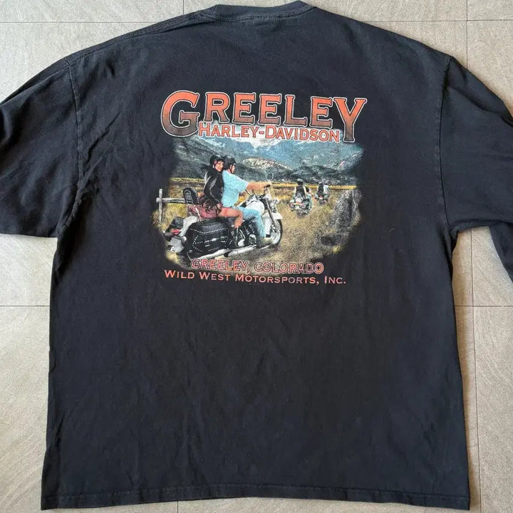 [BUNJANG] Harley-Davidson Black Flame Long Sleeve T-shirt / 할리데이비슨 정품 블랙 플레임 긴팔 티셔츠 롱슬리브