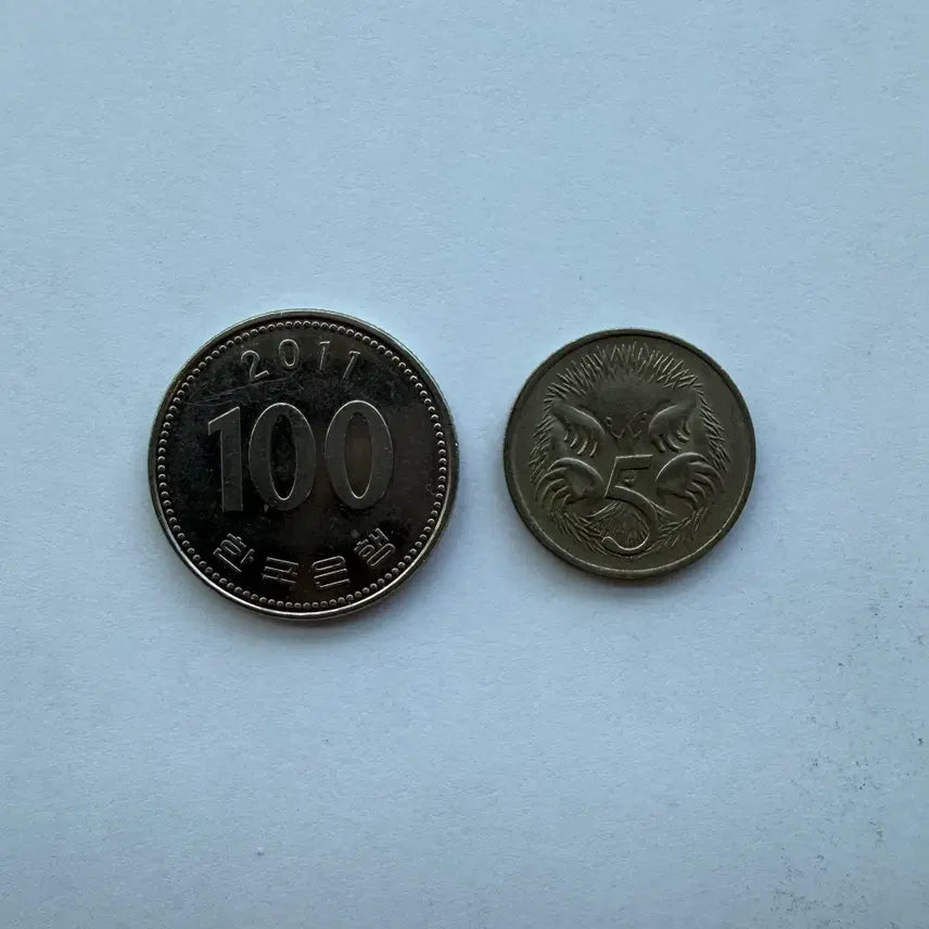 [BUNJANG] 1983 Australian 5 Cent Coin / 1983년 호주 5센트 동전 S1773