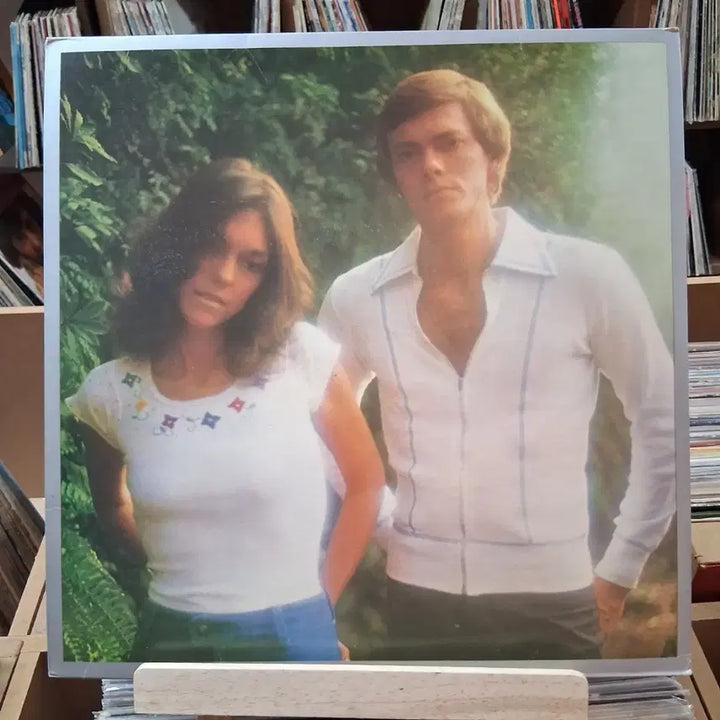 [SOLD OUT] 자켓도 이쁜 Carpenters 카펜터스 LP 레코드