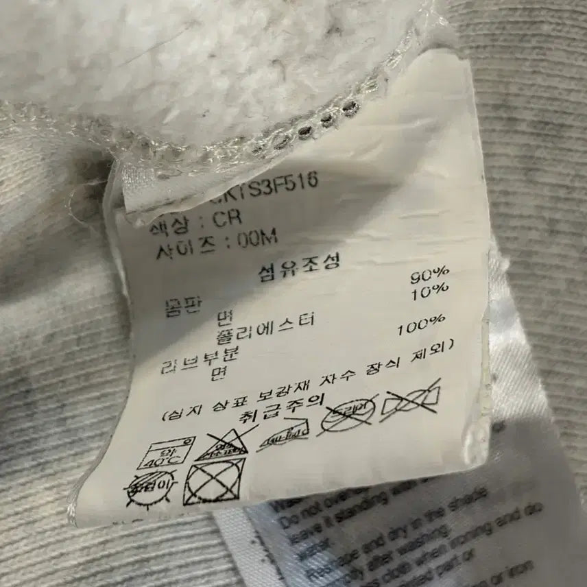 [BUNJANG] Champion Reverse Weave Detroit Embroidered Hoodie / [L/100] 챔피온 리버스 위브 디트로이트 자수 후드티 4.9