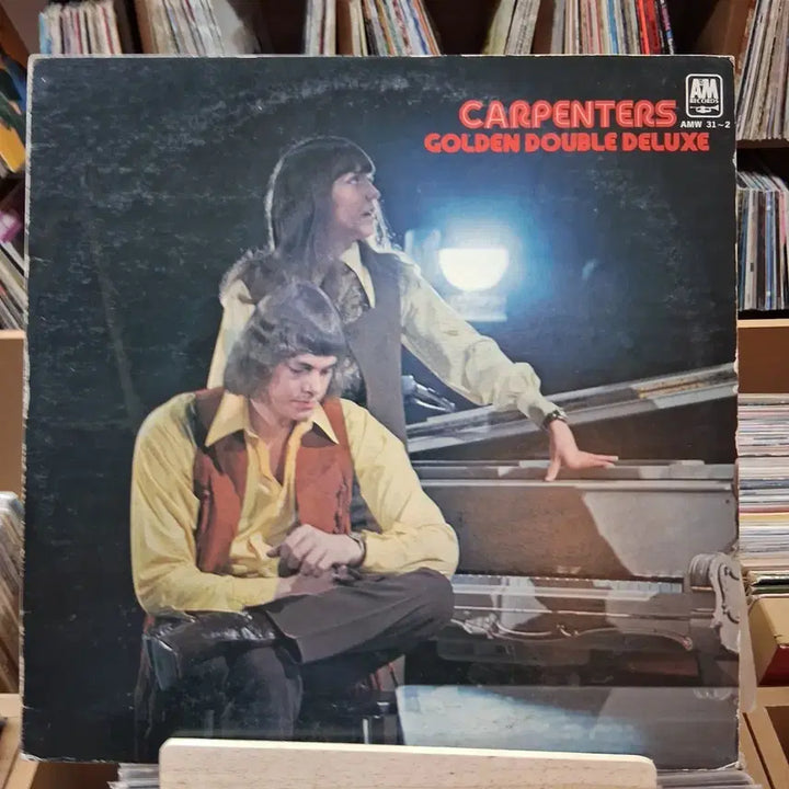 [SOLD OUT] 소장가치 빈티지 카펜터스 (CARPENTERS) 더블 LP