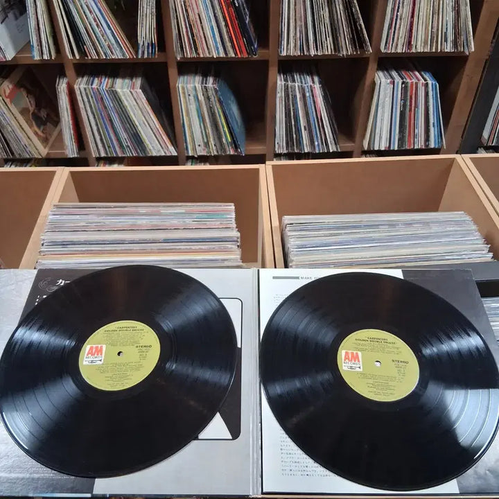 [SOLD OUT] 소장가치 빈티지 카펜터스 (CARPENTERS) 더블 LP