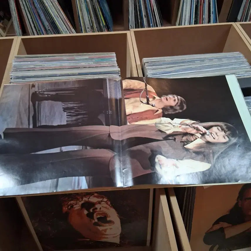 [SOLD OUT] 브로마이드 Carpenters 카펜터즈  LP
