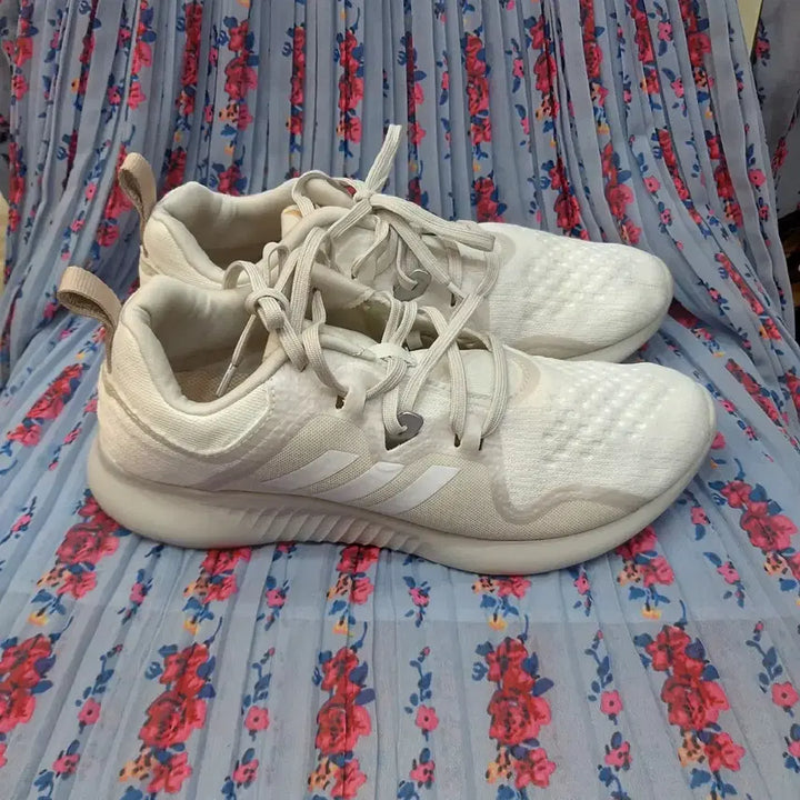 [BUNJANG] Adidas Edgebounce Tennis Shoes 250mm / 아디다스 엣지바운스 250mm