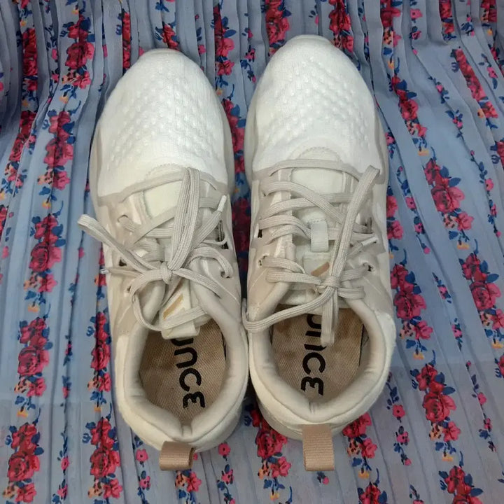 [BUNJANG] Adidas Edgebounce Tennis Shoes 250mm / 아디다스 엣지바운스 250mm