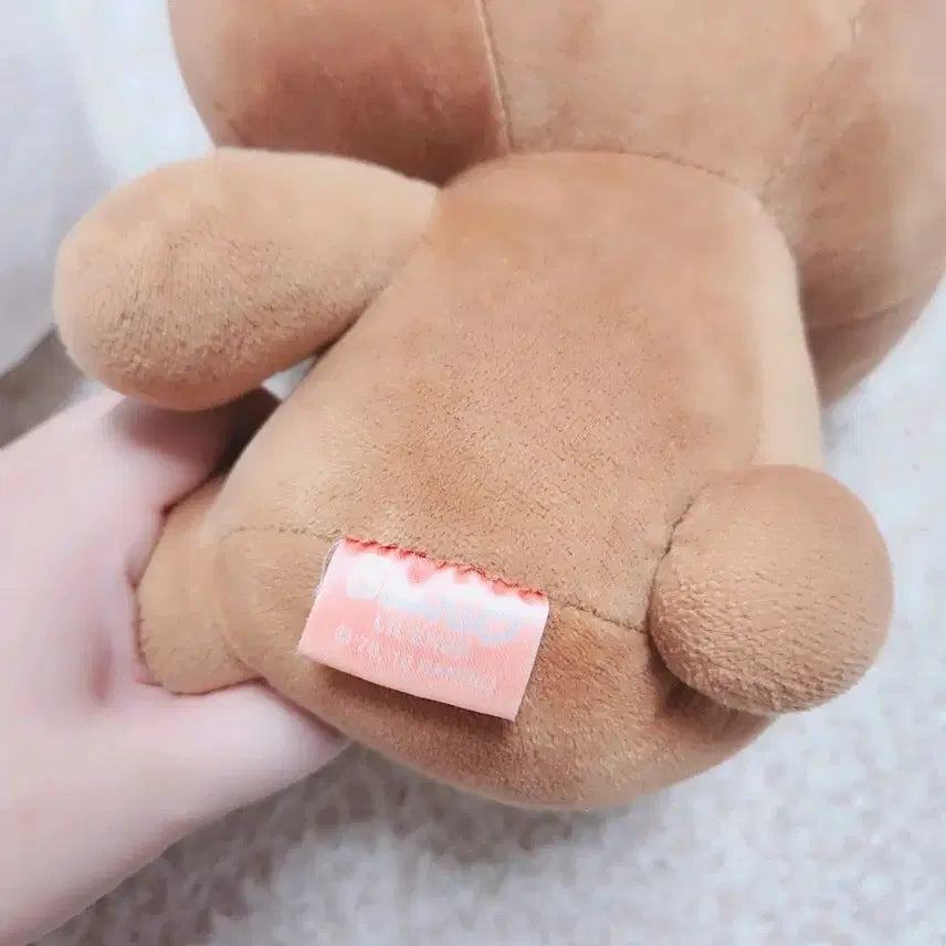[BUNJANG] Hello Kitty We Bare Bears Collaboration Plush Doll Bundle / [일괄가격] 헬로키티 위베어베어스 콜라보 인형 2종