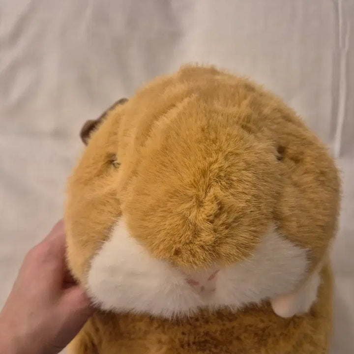 [BUNJANG] Guinea Pig Hamster Plush Backpack New / 기니피그 햄스터 인형 가방 인형 백팩 새상품