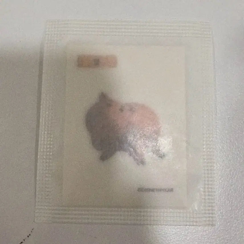 [SOLD OUT] 스타벅스 토이스토리 띠부씰 햄