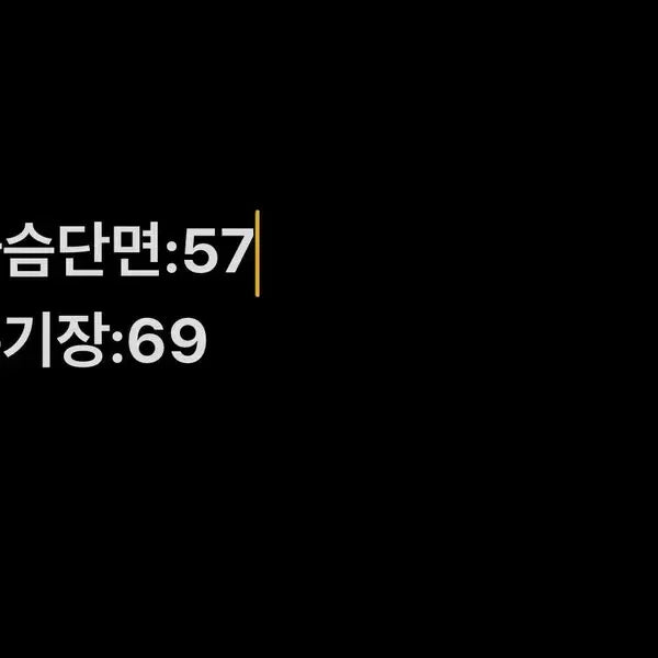 [SOLD OUT] [정품/100] 노스페이스 700 남성 거위솜털 패딩   NN