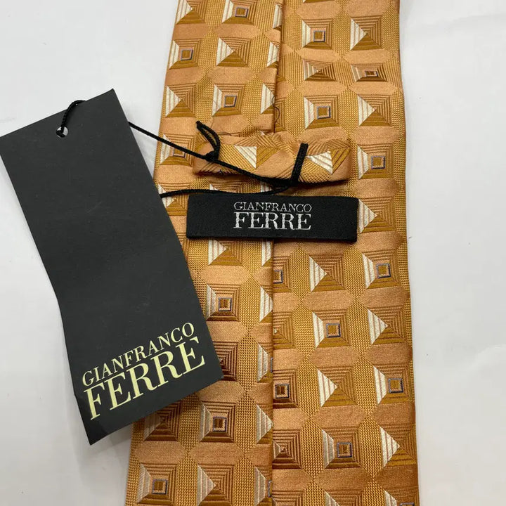 [BUNJANG] Gianfranco Ferre Patterned Necktie / 지안프랑코페레 패턴 넥타이 미사용