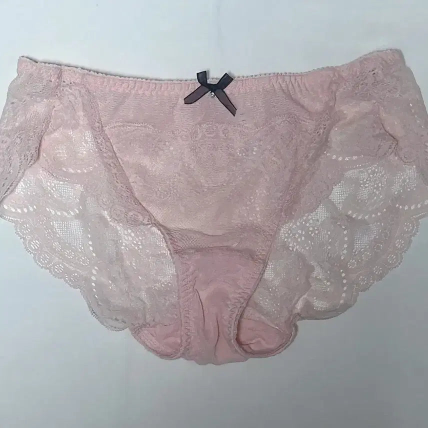 [SOLD OUT] 에블린 체리블라썸 레이스 팬티