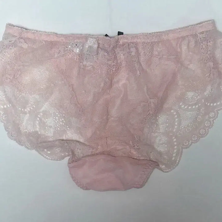 [SOLD OUT] 에블린 체리블라썸 레이스 팬티