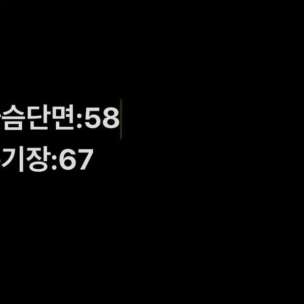 [SOLD OUT] [정품/105] 폭스바겐 남성 맨투맨   NN