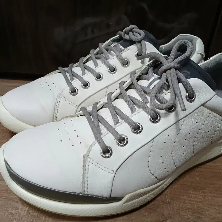 [SOLD OUT] 에코 바이옴 흰색 골프화 255mm