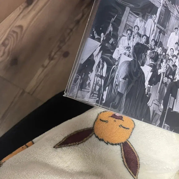[BUNJANG] B-Free Huckleberry P-Type Odyssey LP (Numbered) / 비프리 허키 오디세이 lp (친필 넘버링) 판매 합니다