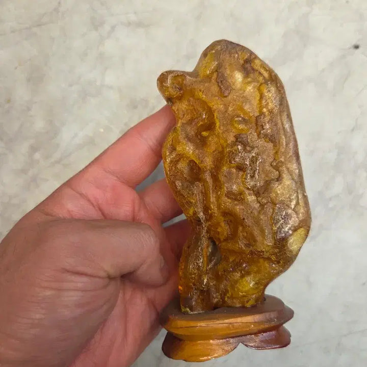 [BUNJANG] Russian Amber 160g with Stand / 러시아호박 160g 좌대포함