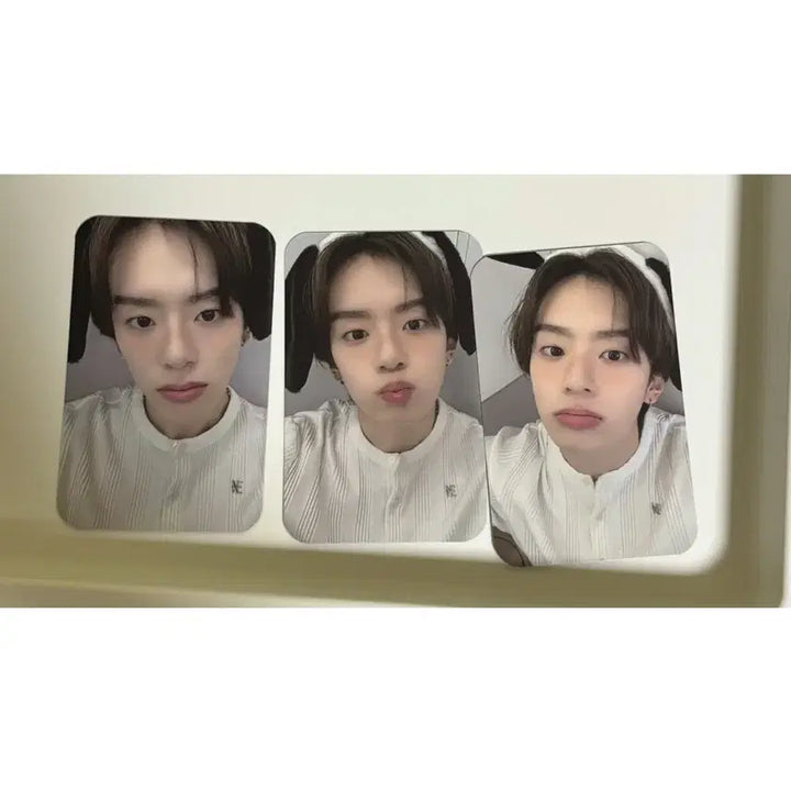 [BUNJANG] VERIVERY Yoo Kangmin Photocard Bundle Set / (일괄) 라이징스타 베리베리 유강민 강민 미공포 포카 포토카드 프리폴링