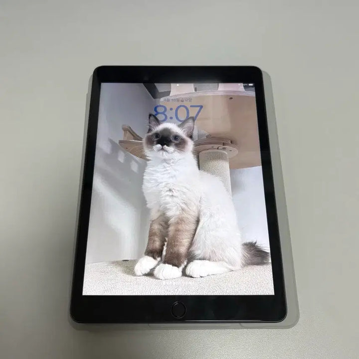 [BUNJANG] Apple iPad 9th Gen 64GB Space Gray / 아이패드 9세대 스페이스그레이 64GB