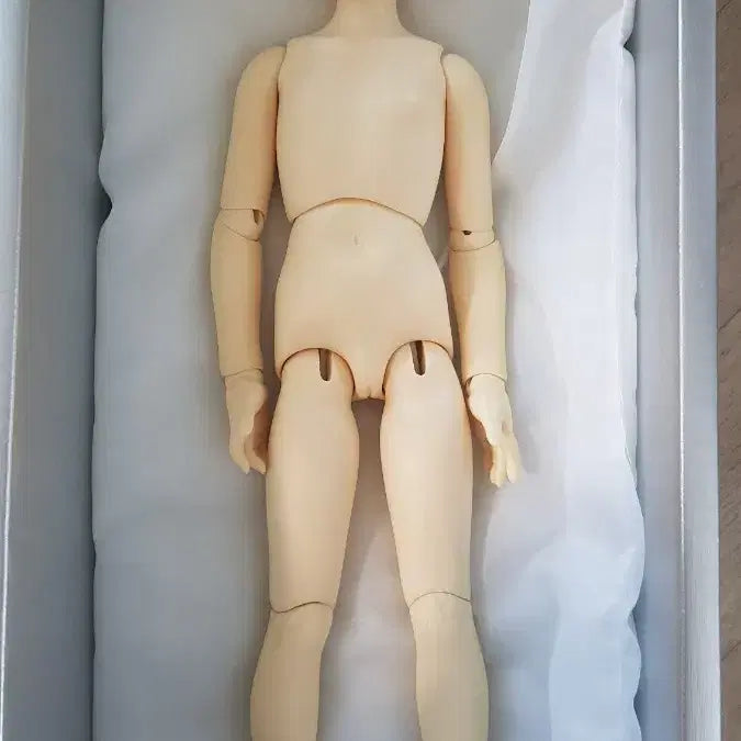 [BUNJANG] Volks MSD Normal Mu Doll (Old Version) / 보크스 msd 뮤