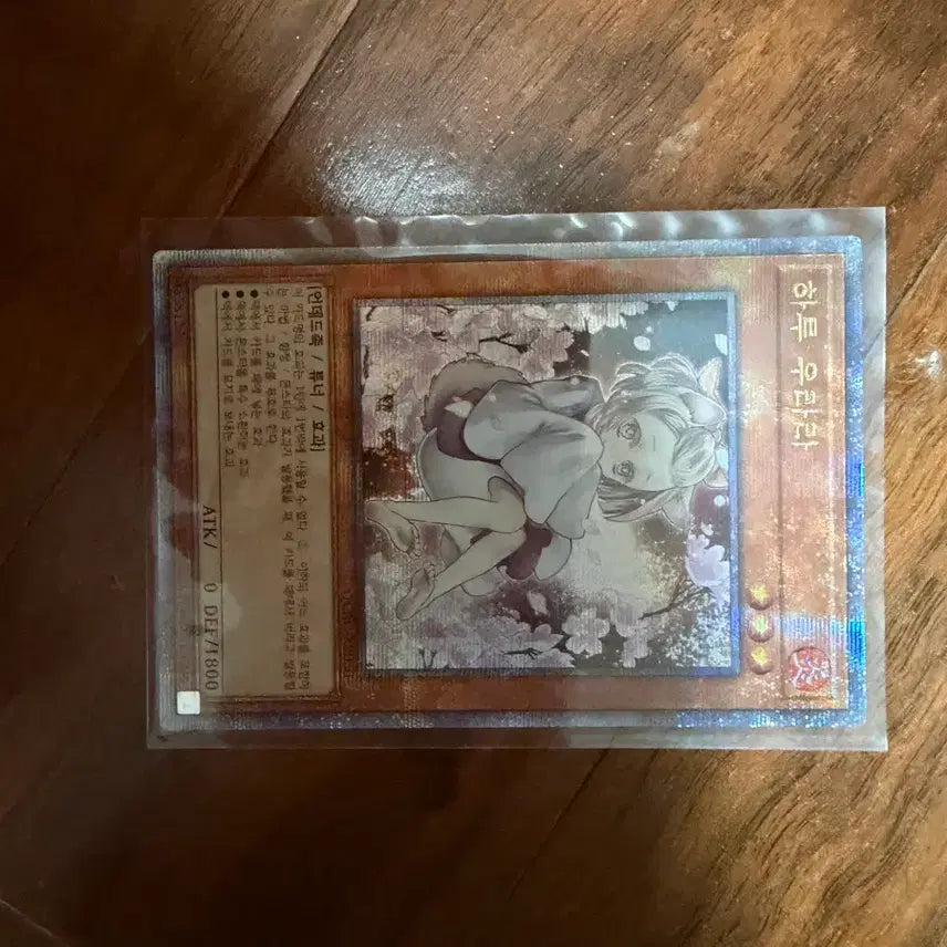 [BUNJANG] Konami Haru Urara Shinil (QCAC-KR050) Trading Card / [QCAC-KR050] 하루 우라라 신일 쿼싴