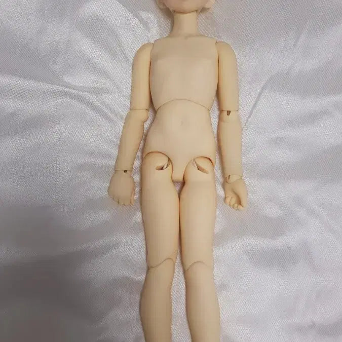 [BUNJANG] Volks MSD 16 Body (Presumed White Skin) Doll / 보크스 MSD 16번 본체(미백 추정)