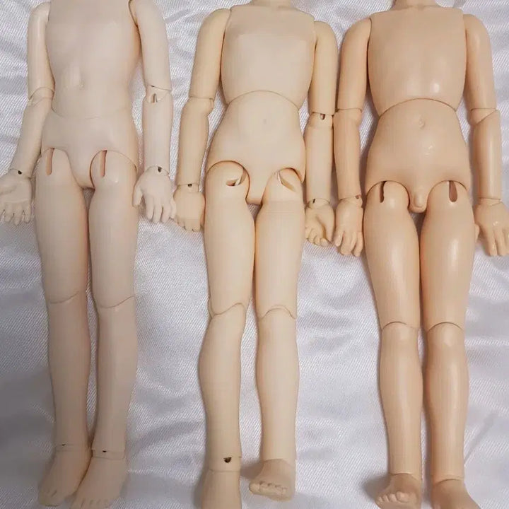 [BUNJANG] Volks MSD 16 Body (Presumed White Skin) Doll / 보크스 MSD 16번 본체(미백 추정)