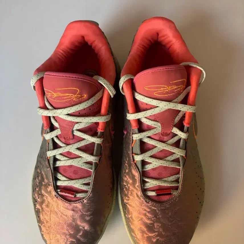 [BUNJANG] LeBron 21 Sneakers / 르브론21