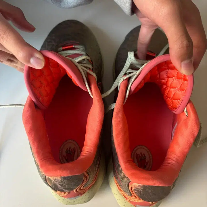[BUNJANG] LeBron 21 Sneakers / 르브론21