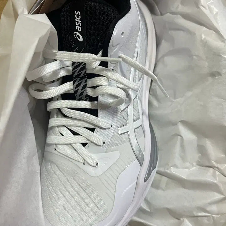 [BUNJANG] Asics Sky Elite FF 3 Shoes (255mm) / 아식스 스카이 엘리트 FF 3