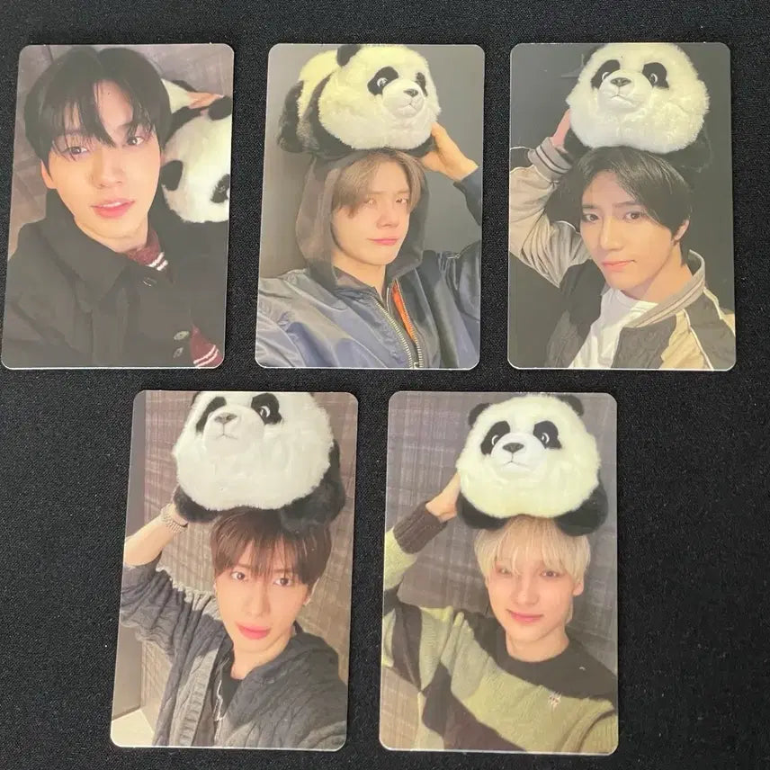 [BUNJANG] TXT (Tomorrow X Together) The Name Chapter: FREEFALL Panda Album / 투바투 이즈위 판다 버전 앨범 판매