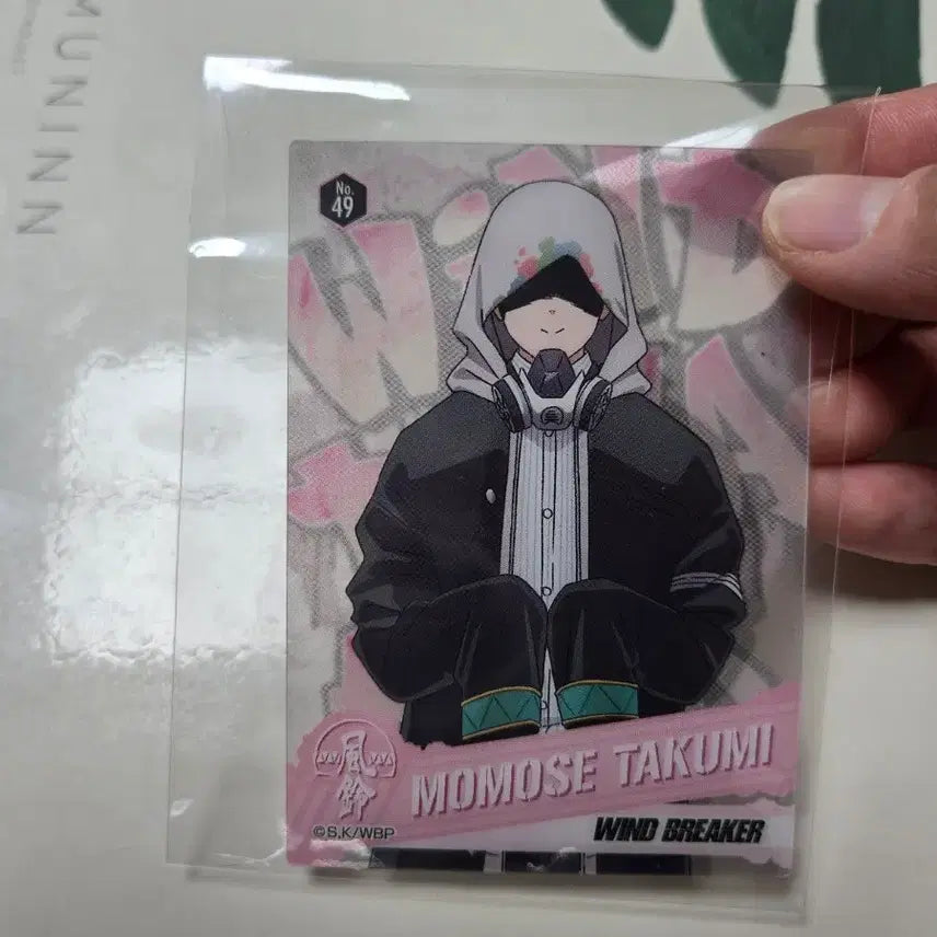 [BUNJANG] Wind Breaker Momose Takumi Photocard / 윈드브레이커 모모세 타쿠미 포토카드 포카