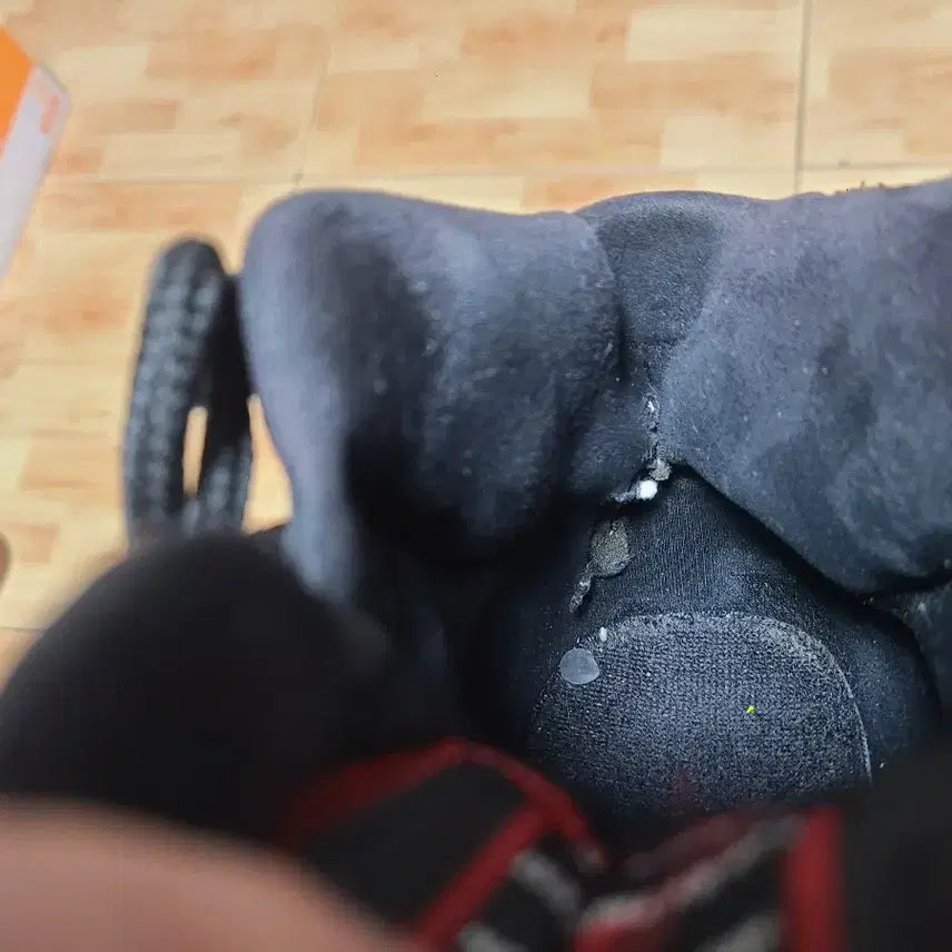 [BUNJANG] Nike Jordan 11 Black Gym Red Sneakers / 조던11 블랙짐레드 260