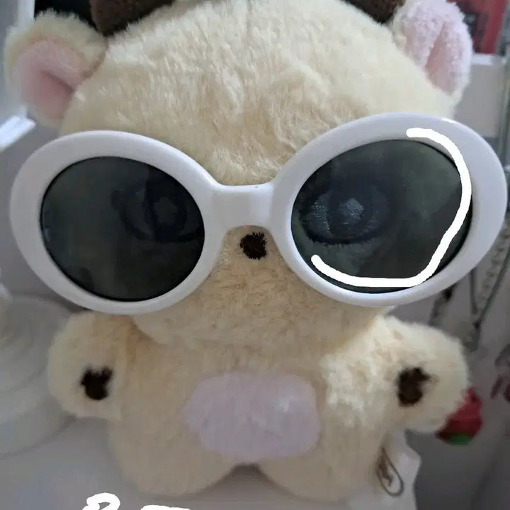 [SOLD OUT] 박지훈 소심이 현물 양도