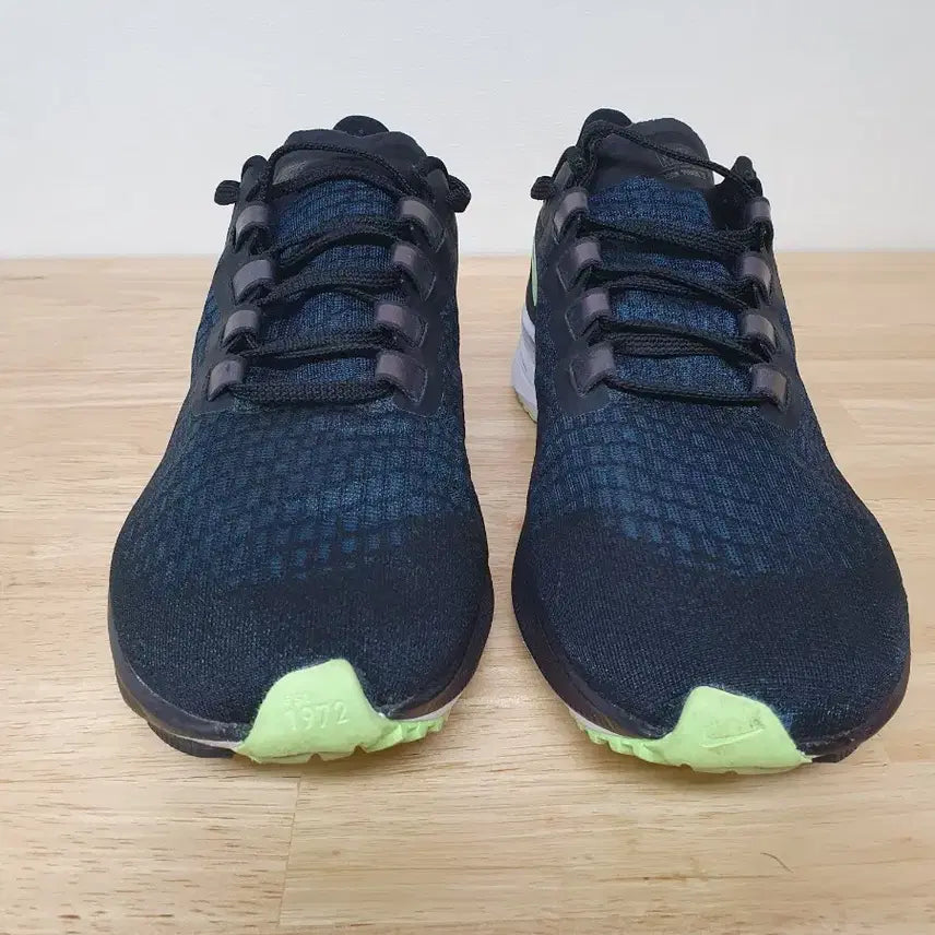 [BUNJANG] Nike Pegasus 37 Particle Iron Grey Running Shoes / 나이키 페가수스 37 파티클 아이언 그레이 270mm