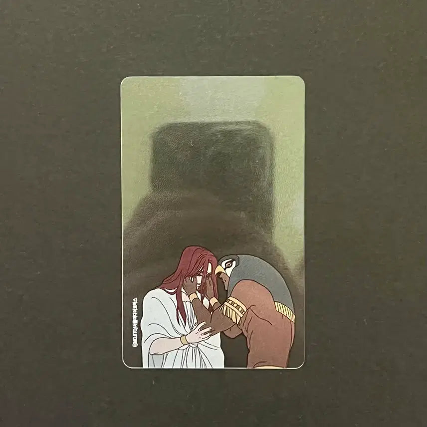 [BUNJANG] Ennead Horus POB Transparent Photocard / 엔네아드 세트 호루스 특전 투명 포토카드 포카 굿즈 희귀매물
