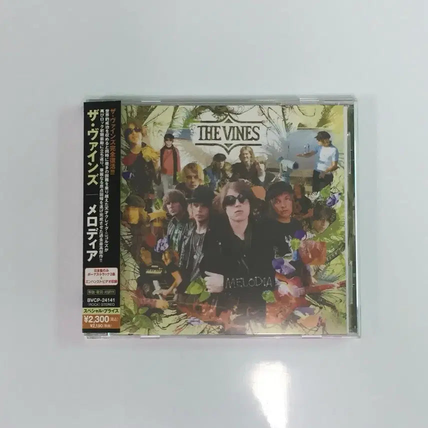 [BUNJANG] The Vines LP/CD Bundle Set / The Vines(바인스)LP/CD