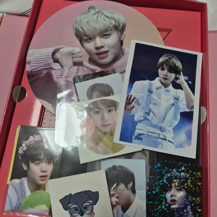[BUNJANG] Park Jihoon May 1st Kit / 박지훈메이1기키트
