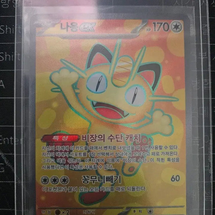 [SOLD OUT] 나옹ex sr (m3)
