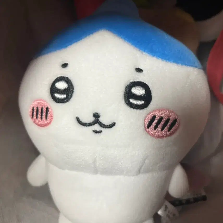 [BUNJANG] Pochita x Ware Potetama Plush / 뿔치와레 포테타마 누이