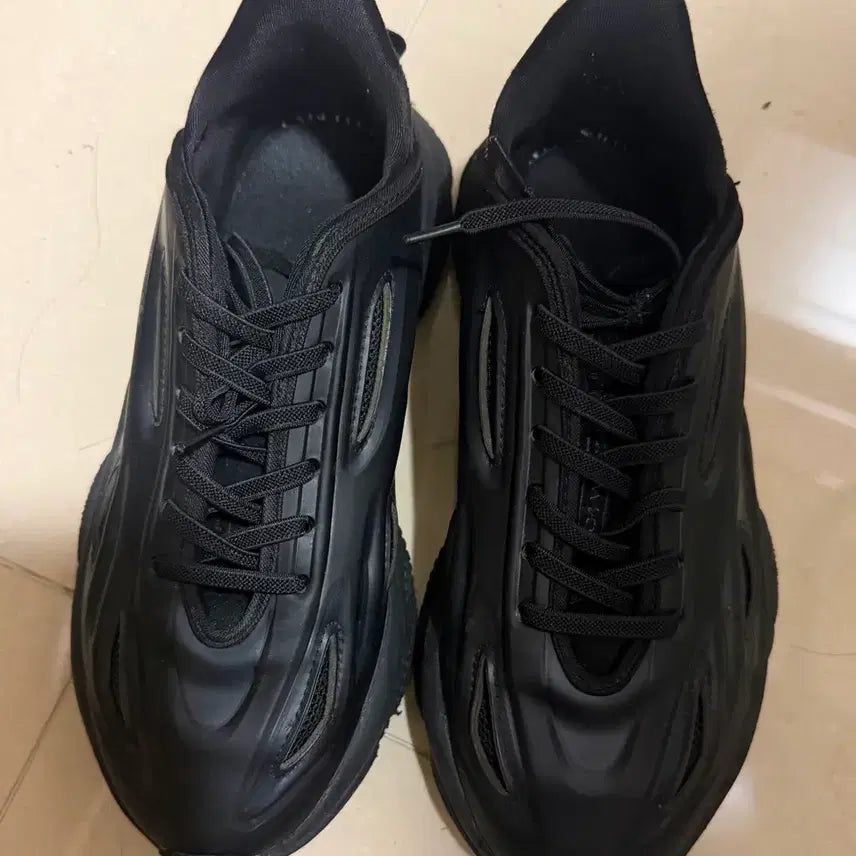 [BUNJANG] Adidas Ozweego Celox Sneakers / 아디다스 오드위고 셀록스