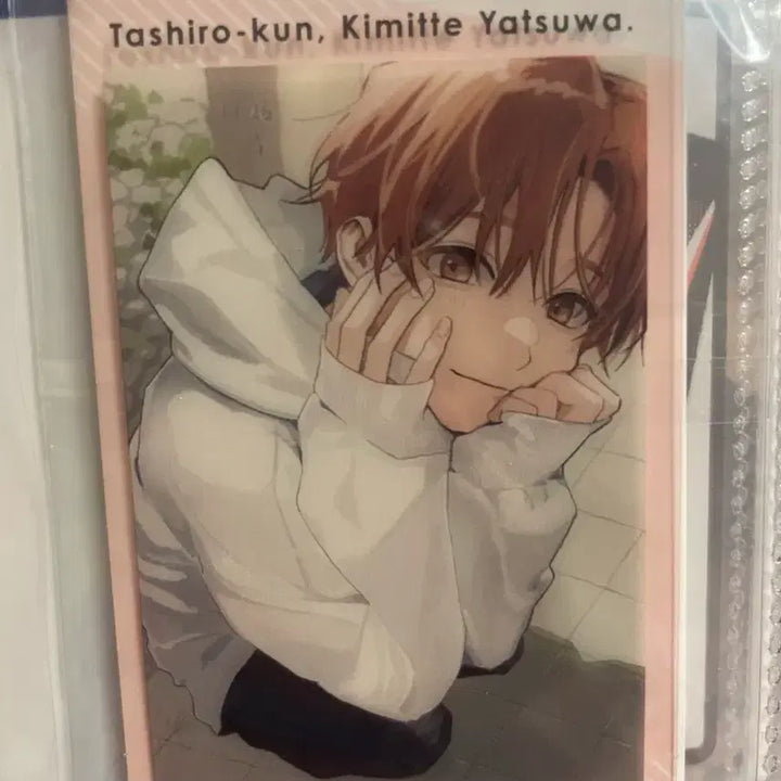 [BUNJANG] Tashiro Ebina Photocard / 타시로 너란 녀석은 에비하라 포토카드 포카