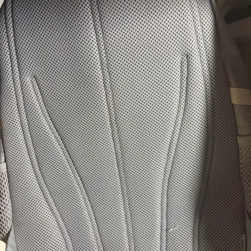 [BUNJANG] JanSport Agave Gray Backpack / 잔스포츠 아가베 그레이