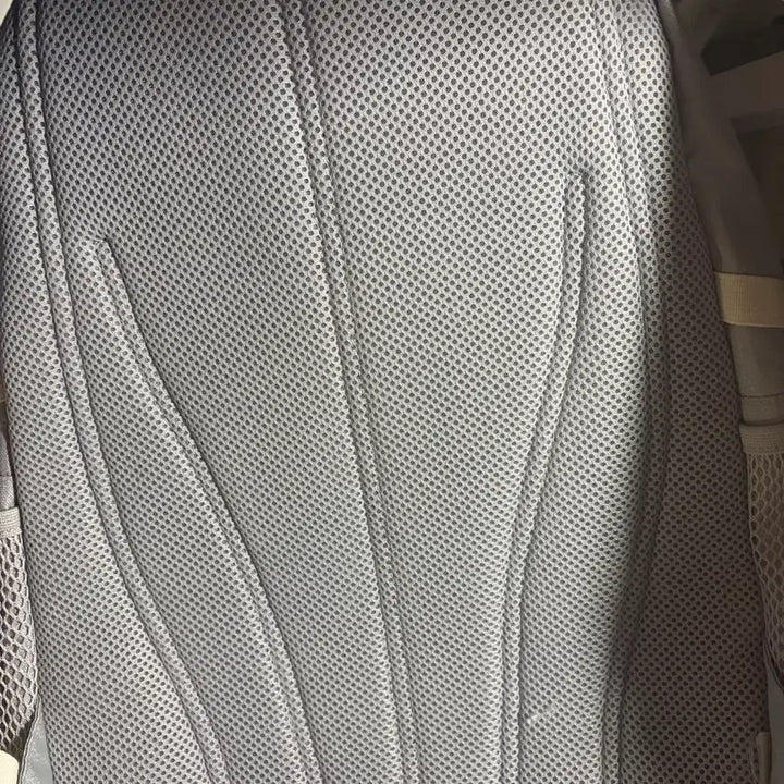 [BUNJANG] JanSport Agave Gray Backpack / 잔스포츠 아가베 그레이