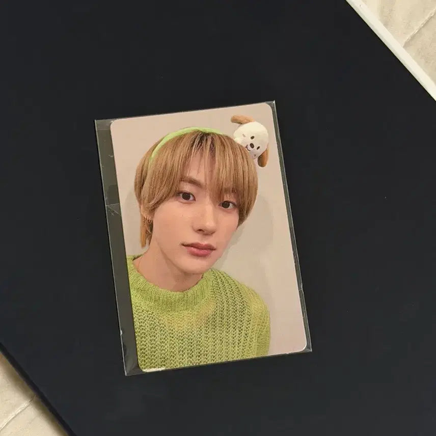 [BUNJANG] RIIZE Anton Everland Dragon Headband + Photocard / 라이즈 앤톤 멍룡이 에버랜드 머리띠 + 포카 양도