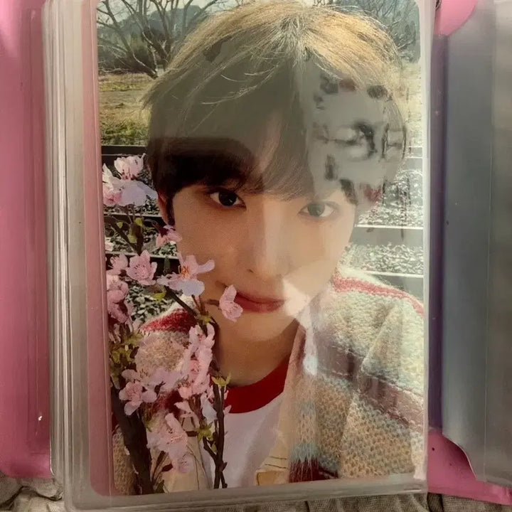 [BUNJANG] &amp;Team Nicholas Yuma Photocard / 앤팀 &amp;team 포카 하루아 니콜라스 유마