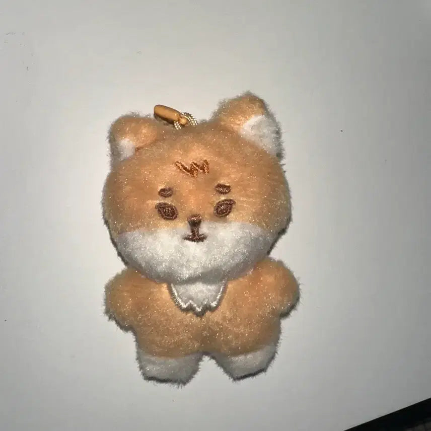 [SOLD OUT] 데이식스 쁘쁘멀 케