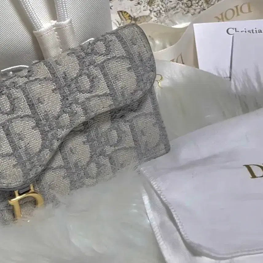 [BUNJANG] Dior Oblique Saddle Card Wallet Gray / 디올 오블리크 새들 카드지갑 그레이