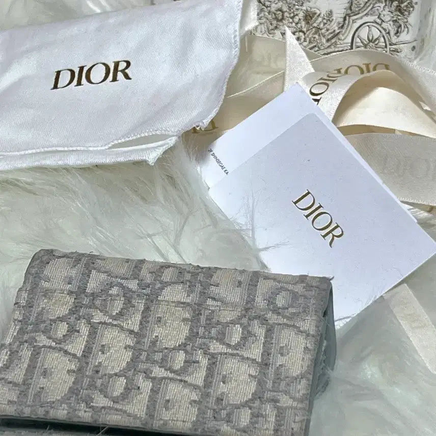 [BUNJANG] Dior Oblique Saddle Card Wallet Gray / 디올 오블리크 새들 카드지갑 그레이