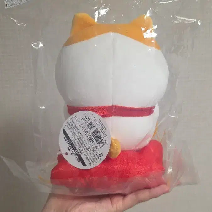 [BUNJANG] Chiikawa Hachiware Gold Chiikawa Lucky Chiikawa Plush (Sealed) / (미개봉 새상품) 치이카와 하치와레 금치와레 복치와레 누이