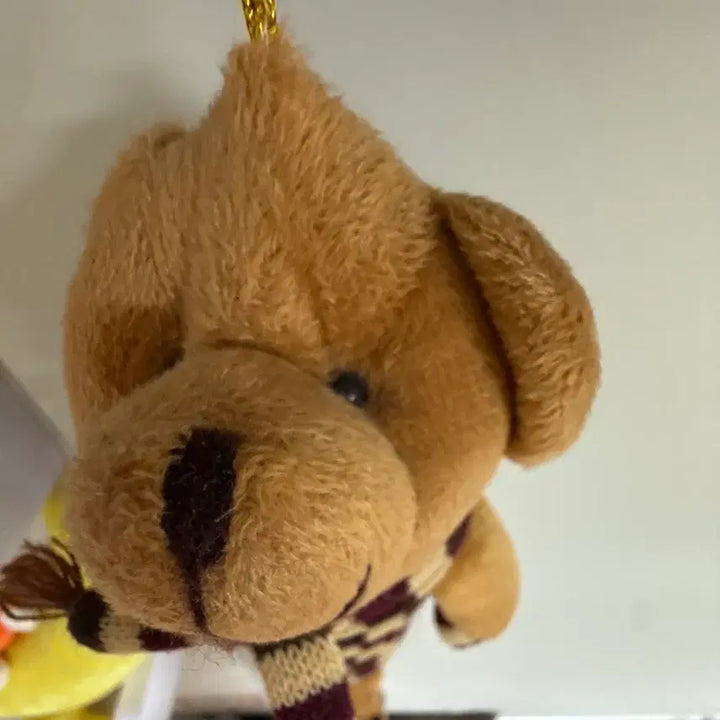 [BUNJANG] Cute Bear Spring Toy / 발 잡으면 왕왕 늘어나는 귀여운 곰돌이 스프링 인형